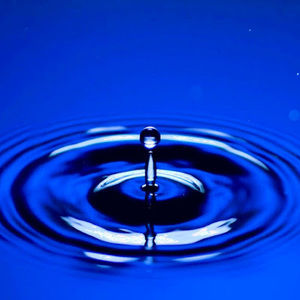 Meet your Posher, Brodie